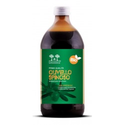 Salugea Succo Olivello Bio 500 Ml - Alimentazione e integratori - 982000731 - Salugea - € 22,53
