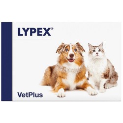 Vetplus Lypex 60 Capsule - Veterinaria - 976014504 - Vetplus - € 85,46