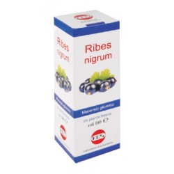 Kos Ribes Nigrum Mg 100 Ml Gocce - Prodotti fitoterapici per raffreddore, tosse e mal di gola - 904559503 - Kos