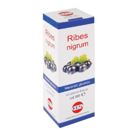 Kos Ribes Nigrum Mg 100 Ml Gocce - Prodotti fitoterapici per raffreddore, tosse e mal di gola - 904559503 - Kos - € 12,50