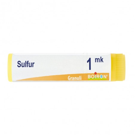 Boiron Sulfur 1mk Gl 1g Boiron - 1 Boiron Sulfur 1mk Gl 1g Boiron - 1