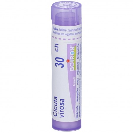 Boiron Cicuta Virosa Boi 30ch 80gr 4g Boiron - 1 Boiron Cicuta Virosa Boi 30ch 80gr 4g Boiron - 1