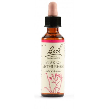 Schwabe Pharma Italia Star Of Bethl Orig 20 Ml Schwabe Pharma Italia - 1 Schwabe Pharma Italia Star Of Bethl Orig 20 Ml Schwabe Pharma Italia - 1