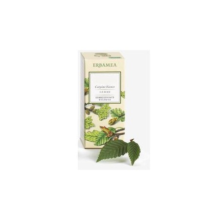 Erbamea Ficus Carica Gemme Gemmoderivato Bio 50 Ml Erbamea - 1 Erbamea Ficus Carica Gemme Gemmoderivato Bio 50 Ml Erbamea - 1