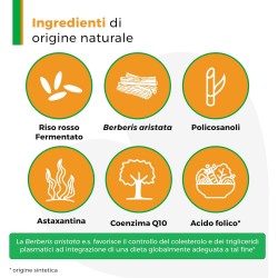 Armolipid Plus Integratore per il Colesterolo 30 Compresse ArmoLIPID - 2