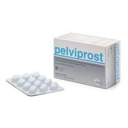 Epitech Group Pelviprost 60 Compresse Long Term Therapy - Integratori per apparato uro-genitale e ginecologico - 980766962 - ...