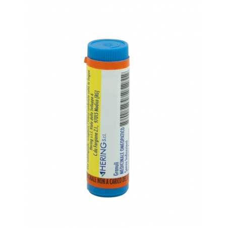 Hering Selenium Metallicum 15k Gl 1g Hering - 1 Hering Selenium Metallicum 15k Gl 1g Hering - 1