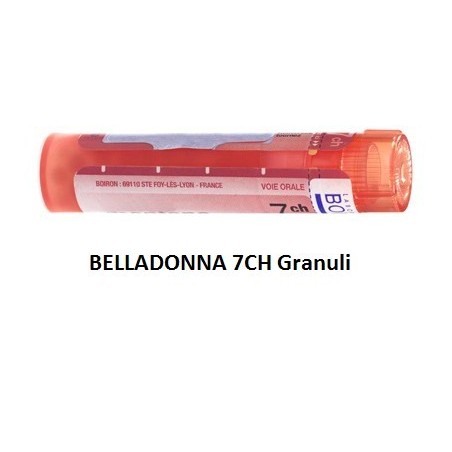 Boiron Belladonna 7ch 80gr 4g Boiron - 1 Boiron Belladonna 7ch 80gr 4g Boiron - 1