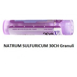 Boiron Natrum Sulfuricum 30ch 80gr 4g Boiron - 1