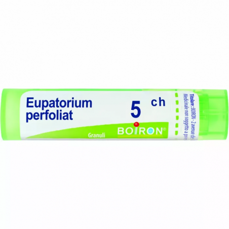 Boiron Eupatorium Perfoliatum 5ch80gr Boiron - 1 Boiron Eupatorium Perfoliatum 5ch80gr Boiron - 1