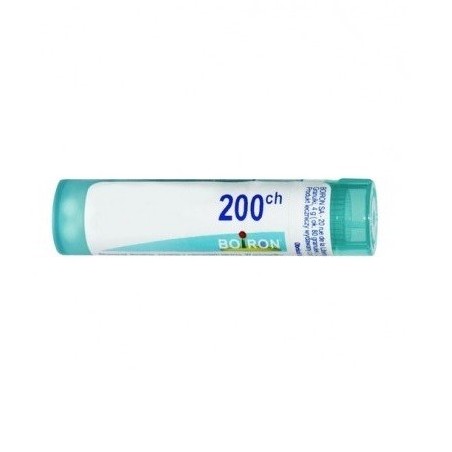 Boiron Stramonium 200ch 80gr 4g Boiron - 1 Boiron Stramonium 200ch 80gr 4g Boiron - 1