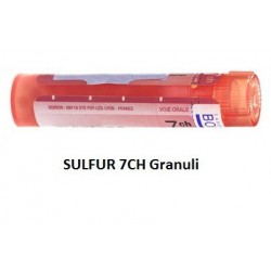 Boiron Sulfur Boi 7ch 80gr 4g Boiron - 1