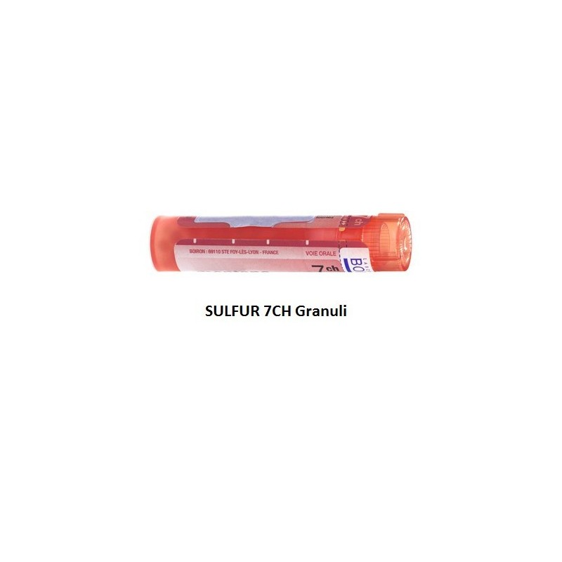 Boiron Sulfur Boi 7ch 80gr 4g Boiron - 1