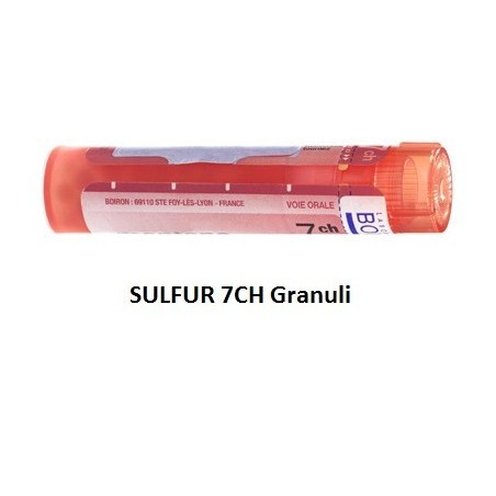 Boiron Sulfur Boi 7ch 80gr 4g Boiron - 1 Boiron Sulfur Boi 7ch 80gr 4g Boiron - 1