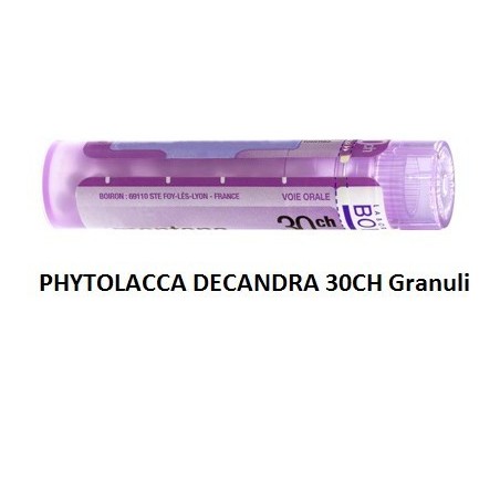 Boiron Phytolacca De Boi 30ch 80gr Boiron - 1 Boiron Phytolacca De Boi 30ch 80gr Boiron - 1