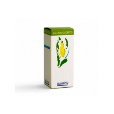 VITIS VINIFERA MACERATO GLICERICO 60 ML Boiron - 1 VITIS VINIFERA MACERATO GLICERICO 60 ML Boiron - 1