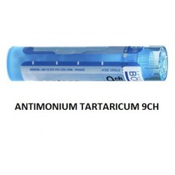 Boiron Antimonium Ta Boi 9ch 80gr Boiron - 1