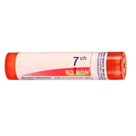 PLUMBUM METALLICUM 7CH GRANULI Boiron - 1 PLUMBUM METALLICUM 7CH GRANULI Boiron - 1