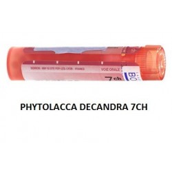 Boiron Phytolacca De Boi 7ch 80gr Boiron - 1