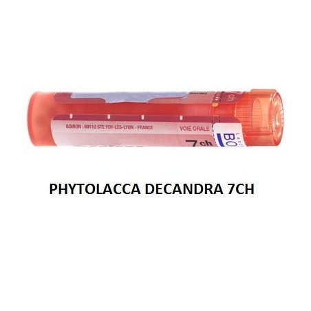 Boiron Phytolacca De Boi 7ch 80gr Boiron - 1 Boiron Phytolacca De Boi 7ch 80gr Boiron - 1