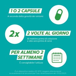 Gaviscon Intestino Stitichezza E Regolarità Intestinale 30 Capsule Gaviscon - 7
