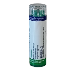 Bryonia 9ch 120gr 6g Hering - 1