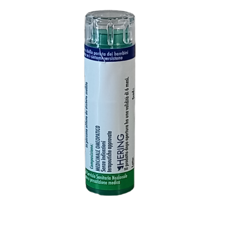 Bryonia 9ch 120gr 6g Hering - 1 Bryonia 9ch 120gr 6g Hering - 1