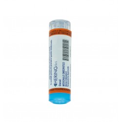 Hepar Sulfur 200ch 80gr 4g Hering - 1
