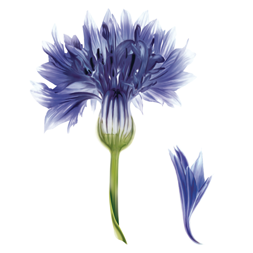 Capelli Colorati, Biondi e Grigi