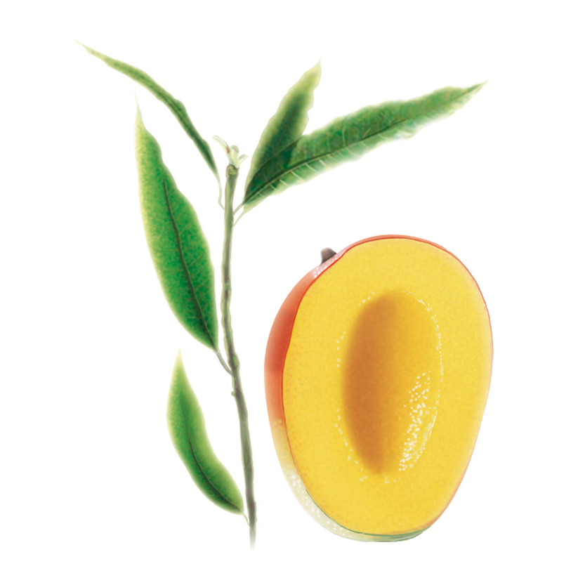 Capelli Secchi, Crespi, che si Spezzano