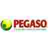 Pegaso