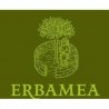 Erbamea