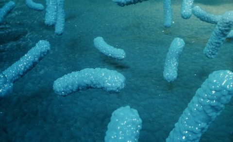 Difese Immunitarie
